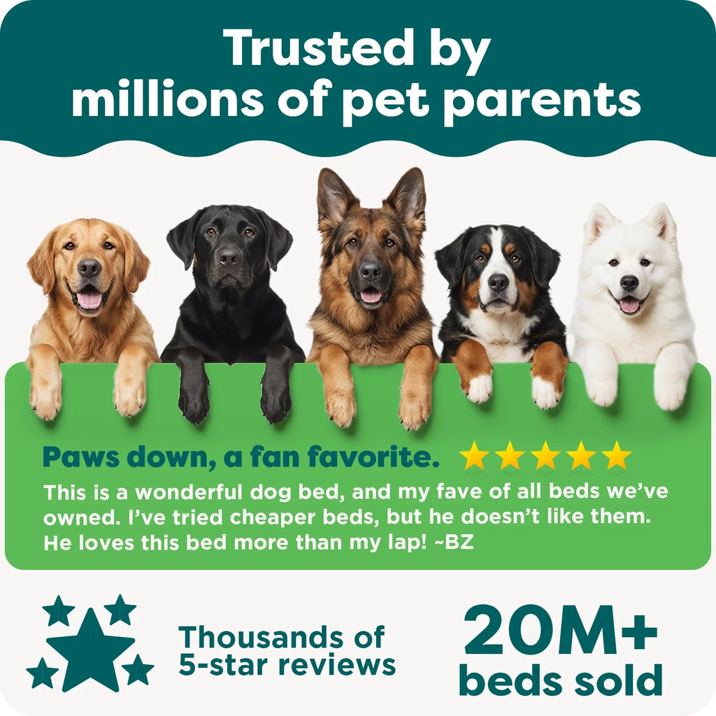 Pet Products Medium Plush & Performance Linen Orthopedic Sofa Dog Bed, Flax